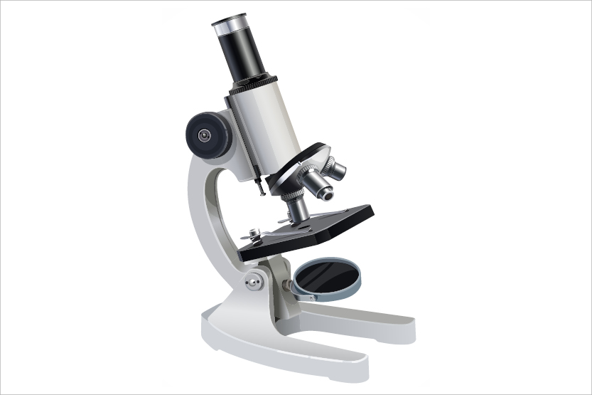 rudens-2015-mikroskops
